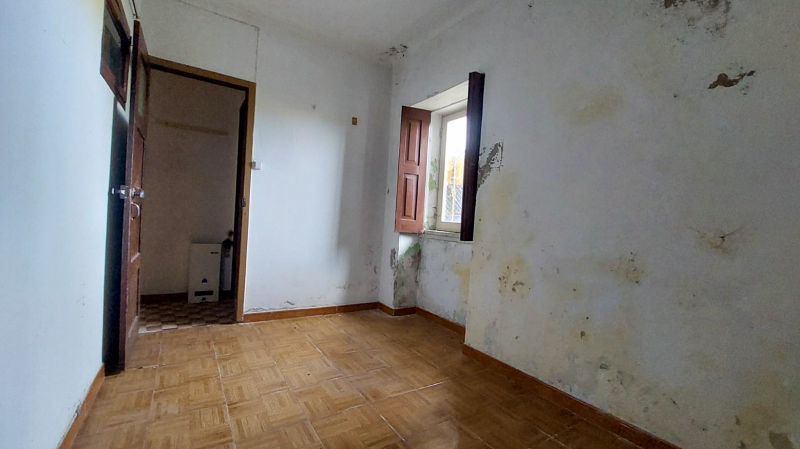 11-57f406af-c7da-4f0d-9a05-cd9c5c2563efjpg