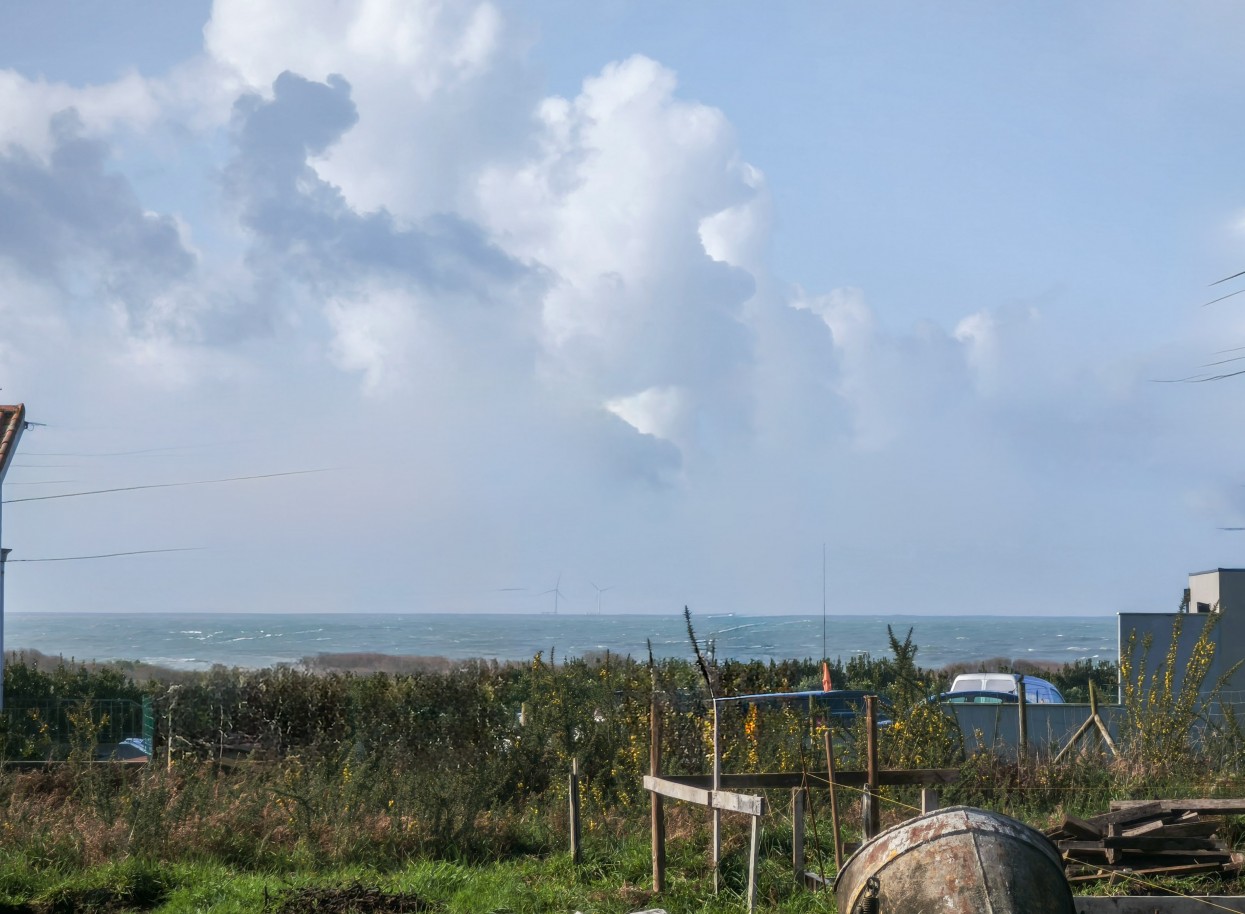 9-img-20260206-120029jpg