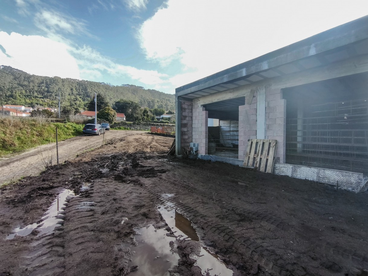 13-img-20260206-115852jpg