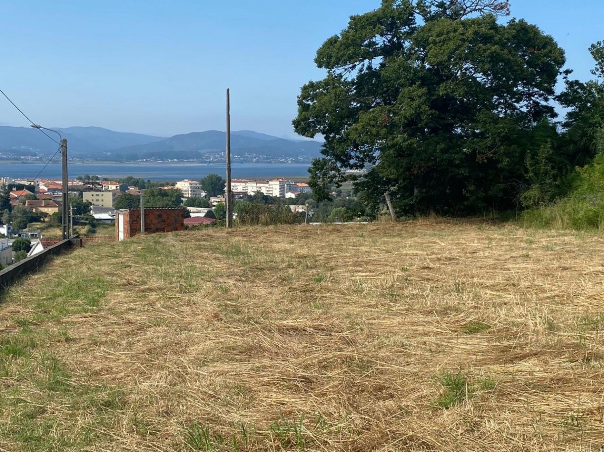 whatsapp-image-2026-01-29-at-101038-2jpeg