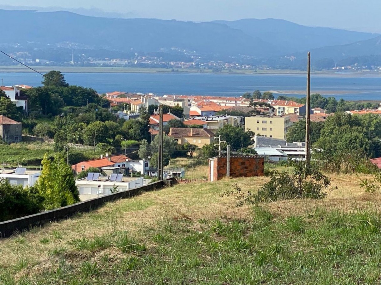 whatsapp-image-2026-01-29-at-101039jpeg