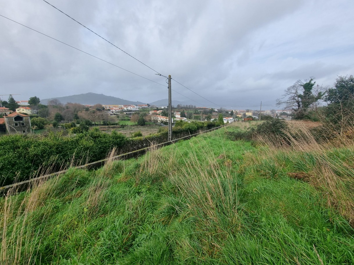 whatsapp-image-2026-01-29-at-143047jpeg