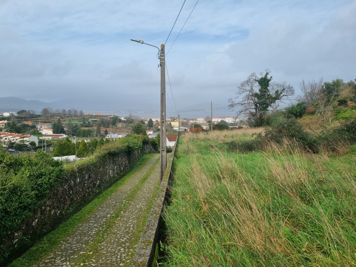 whatsapp-image-2026-01-29-at-143050-1jpeg