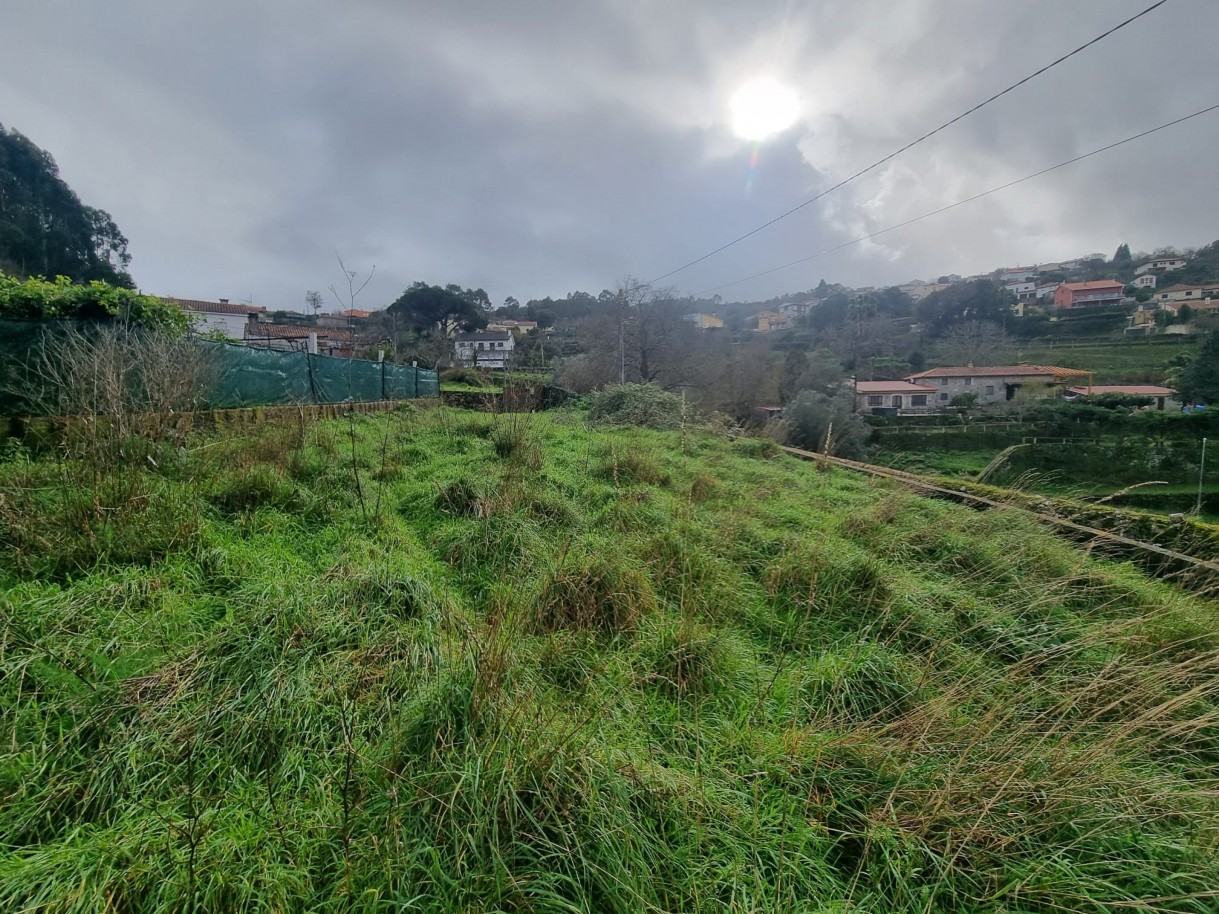 whatsapp-image-2026-01-29-at-143048jpeg