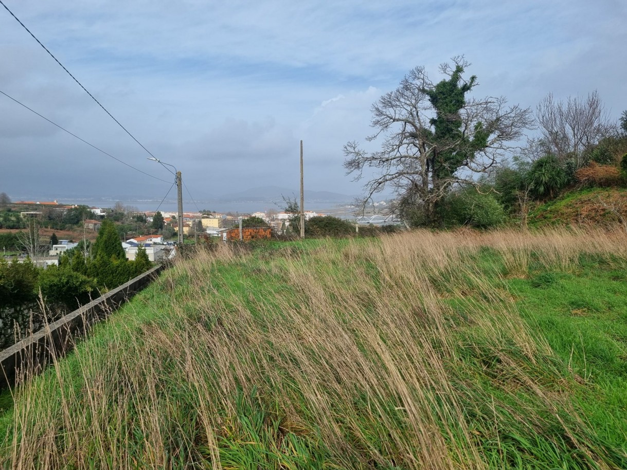 whatsapp-image-2026-01-29-at-143050jpeg