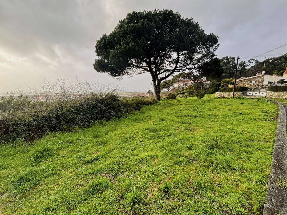 3-c672102c-19e9-4237-ab8b-8259066956b1jpg