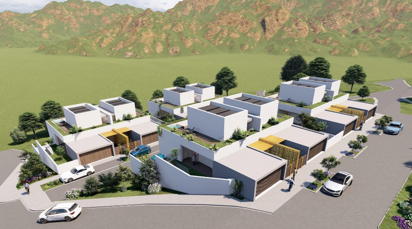 66d87468-de4a-4706-a1c5-5adf9b134980jpeg