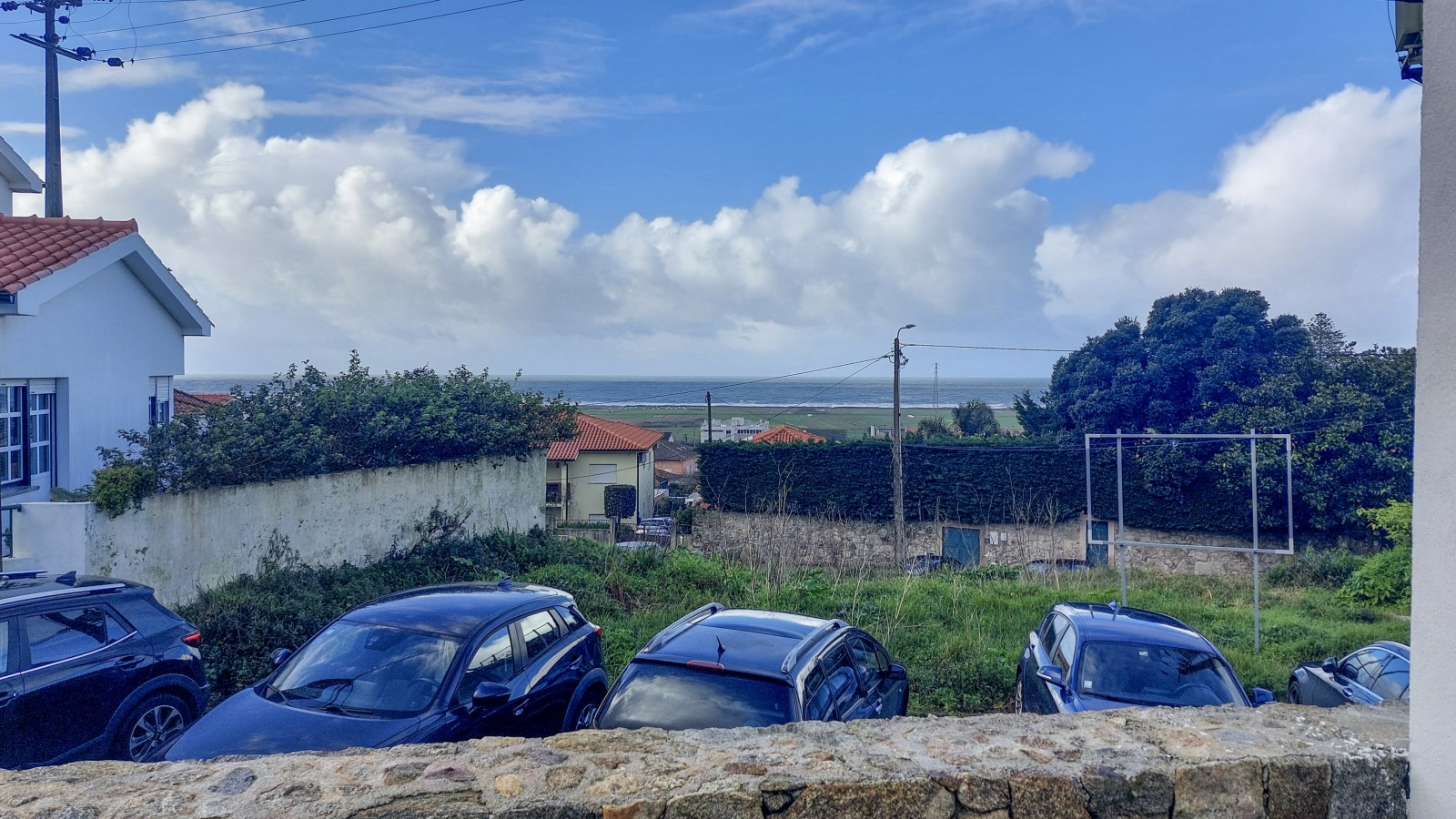 14-20260206-104115jpg