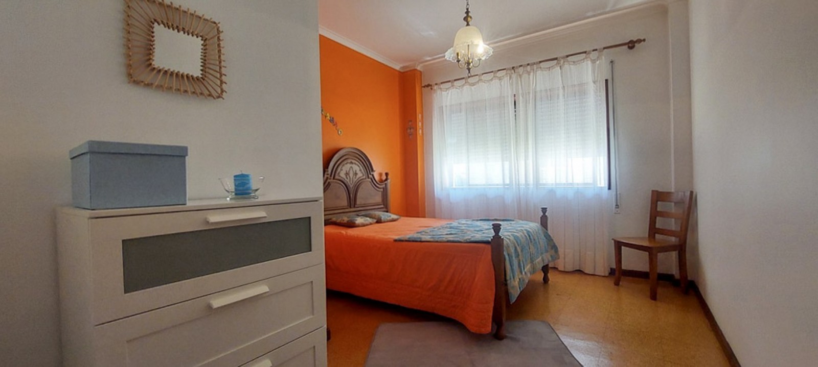 2-whatsapp-image-2026-02-19-at-15jpg