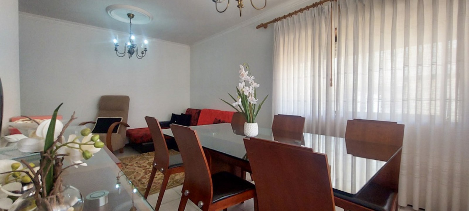 6-whatsapp-image-2026-02-19-at-15jpg