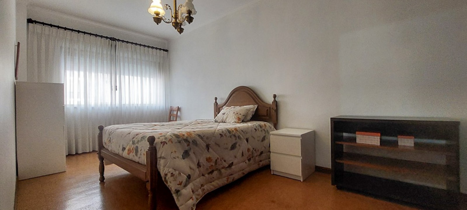 17-whatsapp-image-2026-02-19-at-15jpg