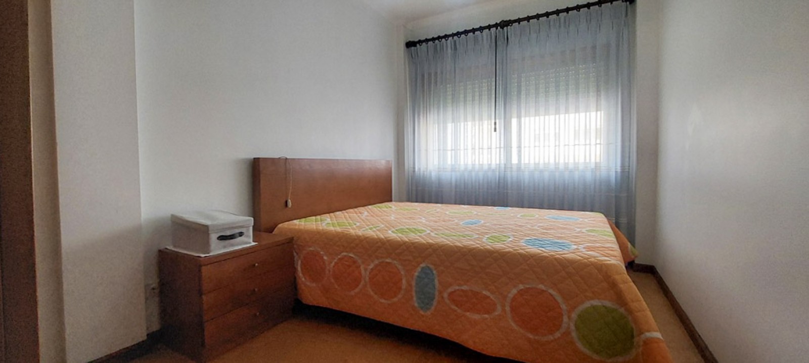 18-whatsapp-image-2026-02-19-at-15jpg