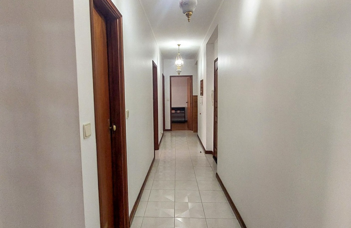 20-whatsapp-image-2026-02-19-at-15jpg