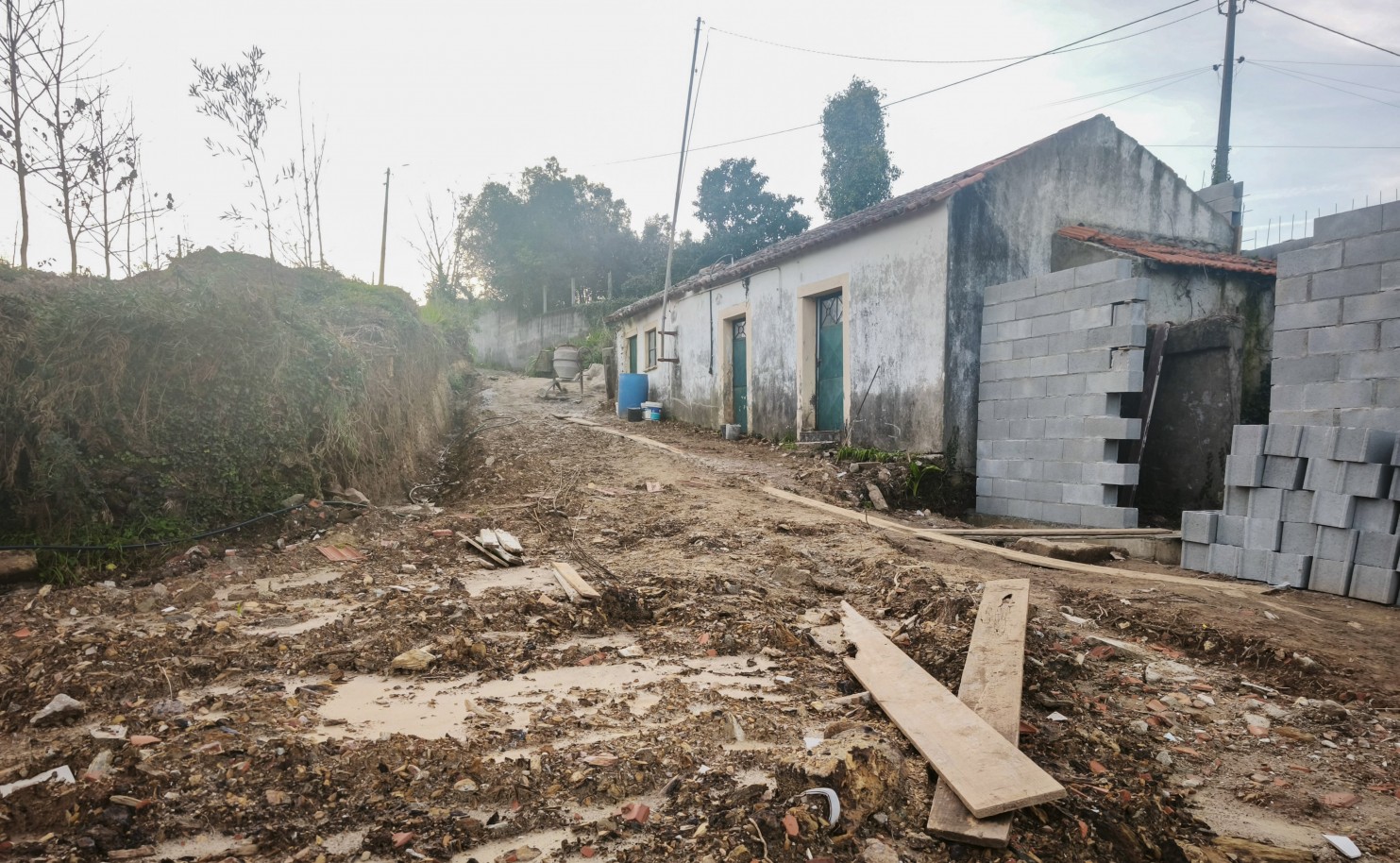 2-img-20260223-174615jpg