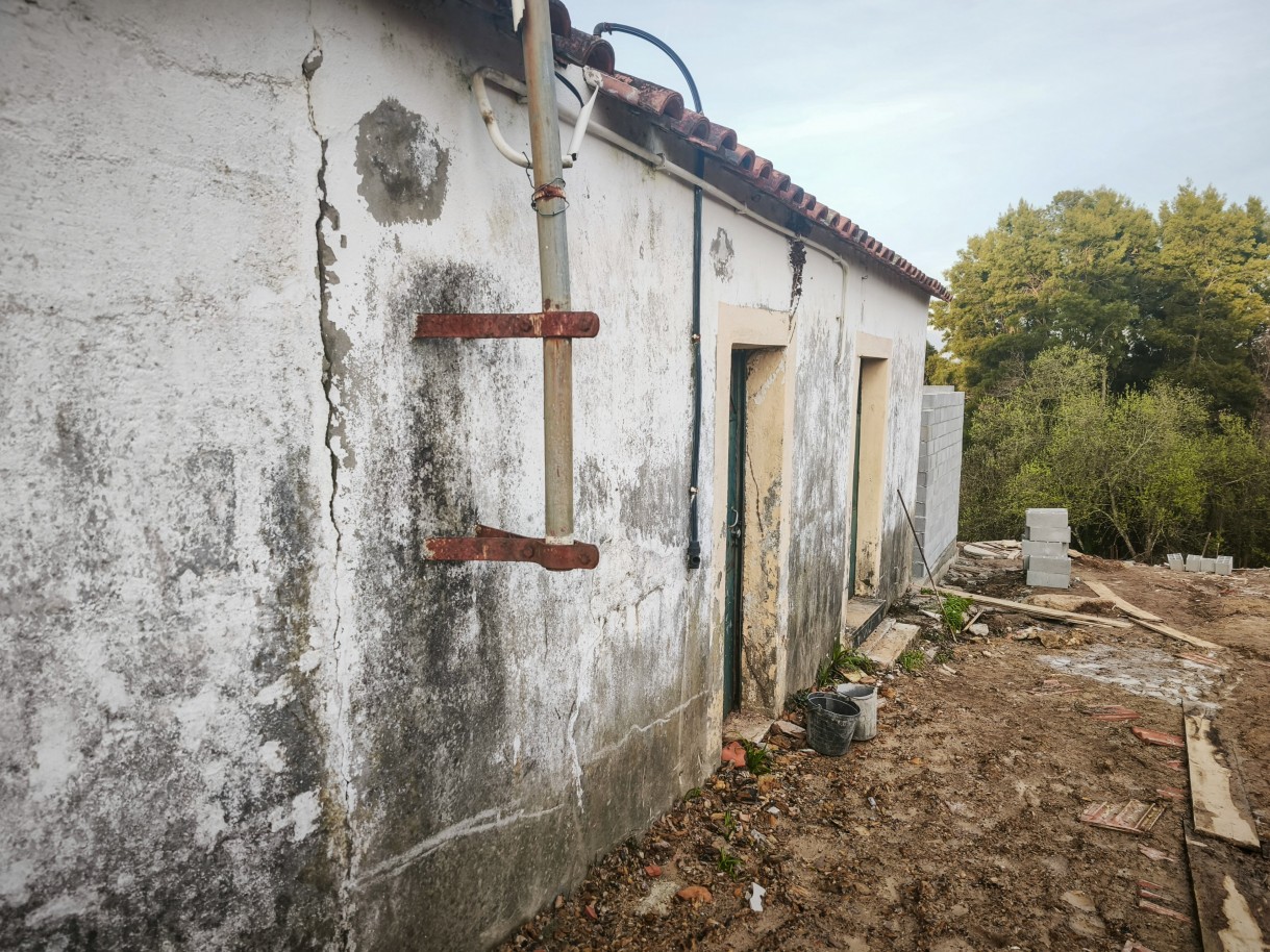 10-img-20260223-174350jpg