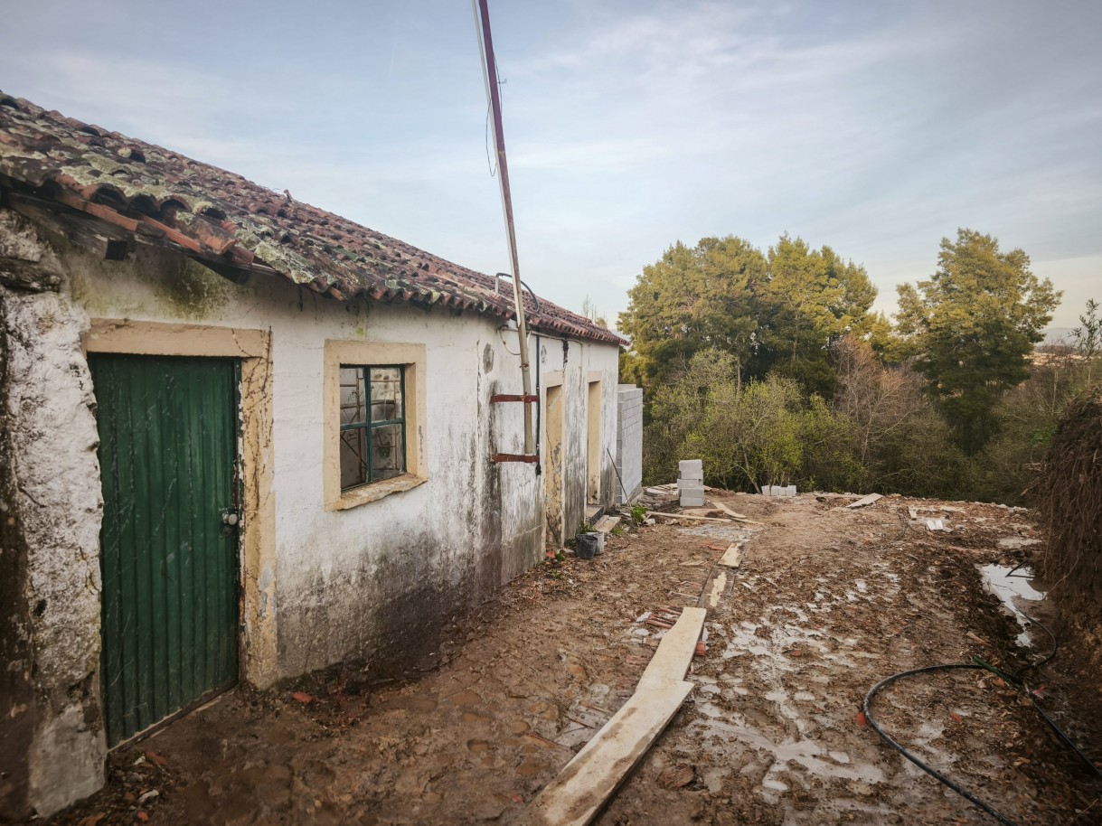 11-img-20260223-174330jpg