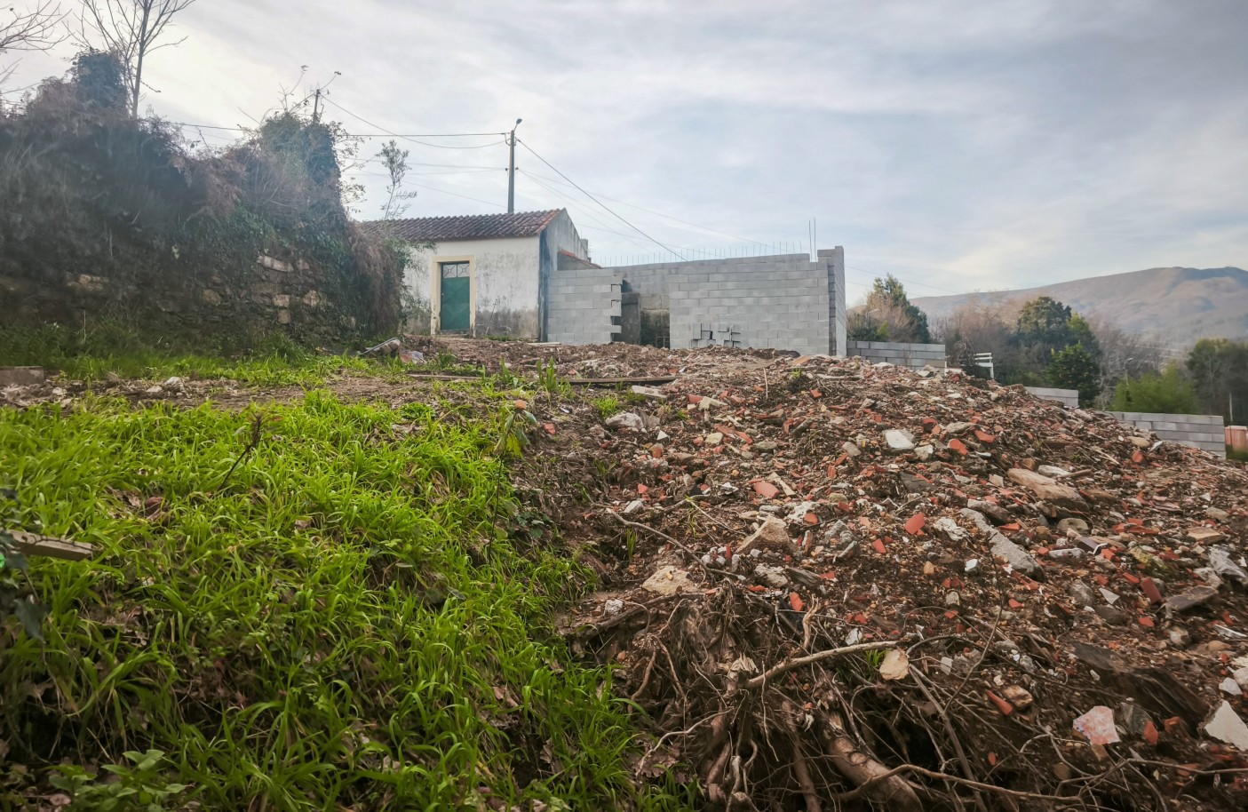 17-img-20260223-173831jpg