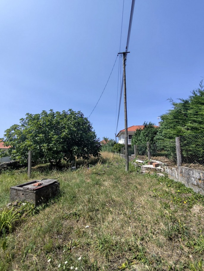 14-07b8adb2-3d10-45a5-9976-80544acb3cc9jpg