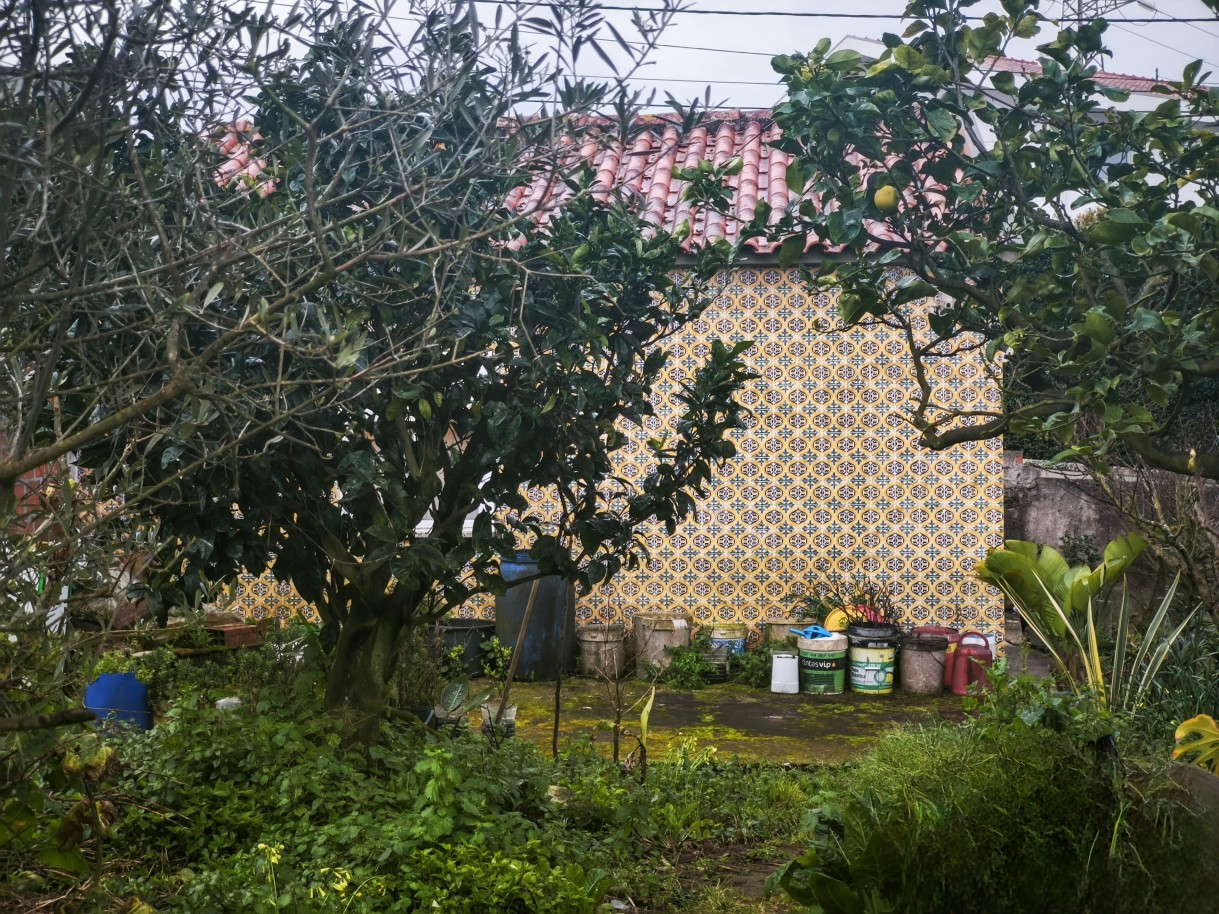 14-img-20260302-180323jpg