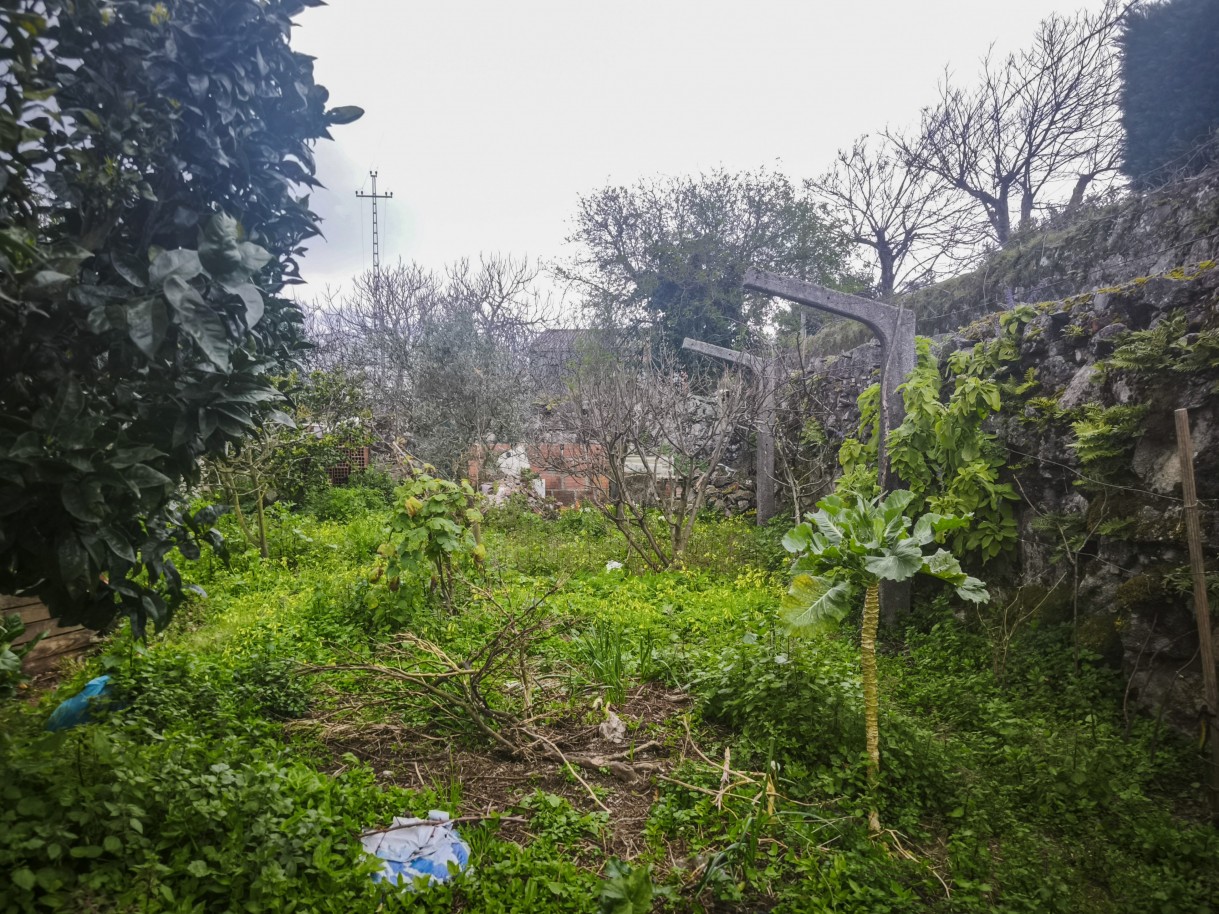 15-img-20260302-180302jpg