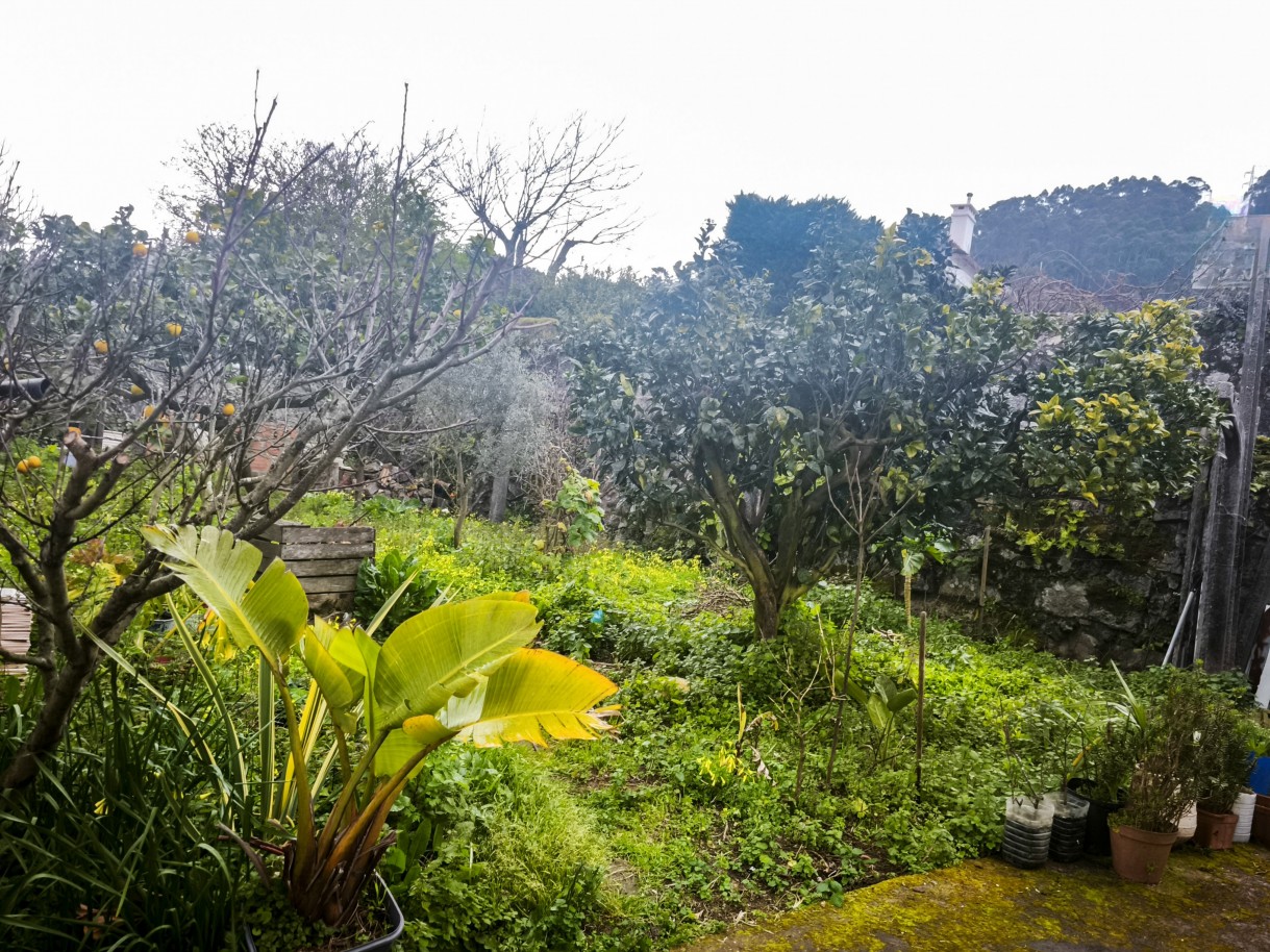 16-img-20260302-180249jpg