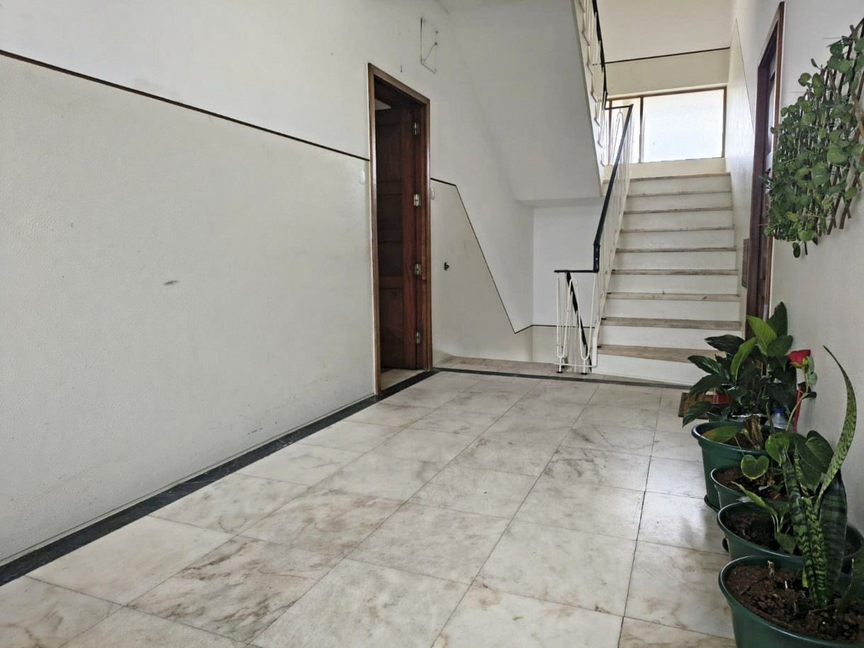 12-09c8eb82-d09e-4b0c-b55f-1417d6a6bb5cjpg