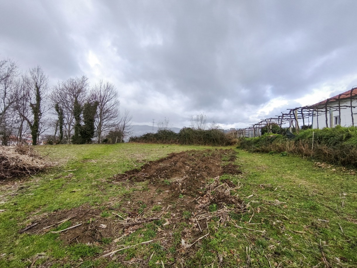 2-img-20260309-163142jpg