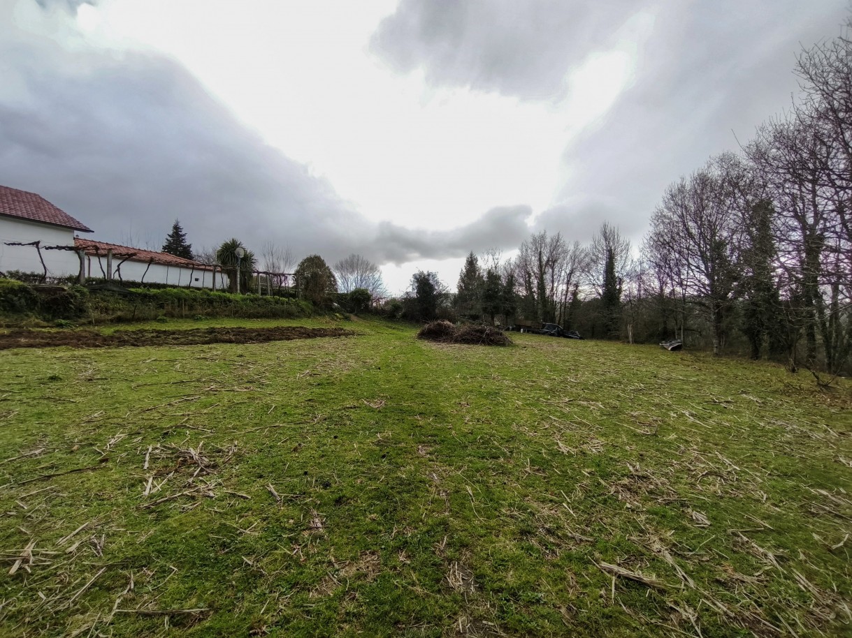 3-img-20260309-163117jpg