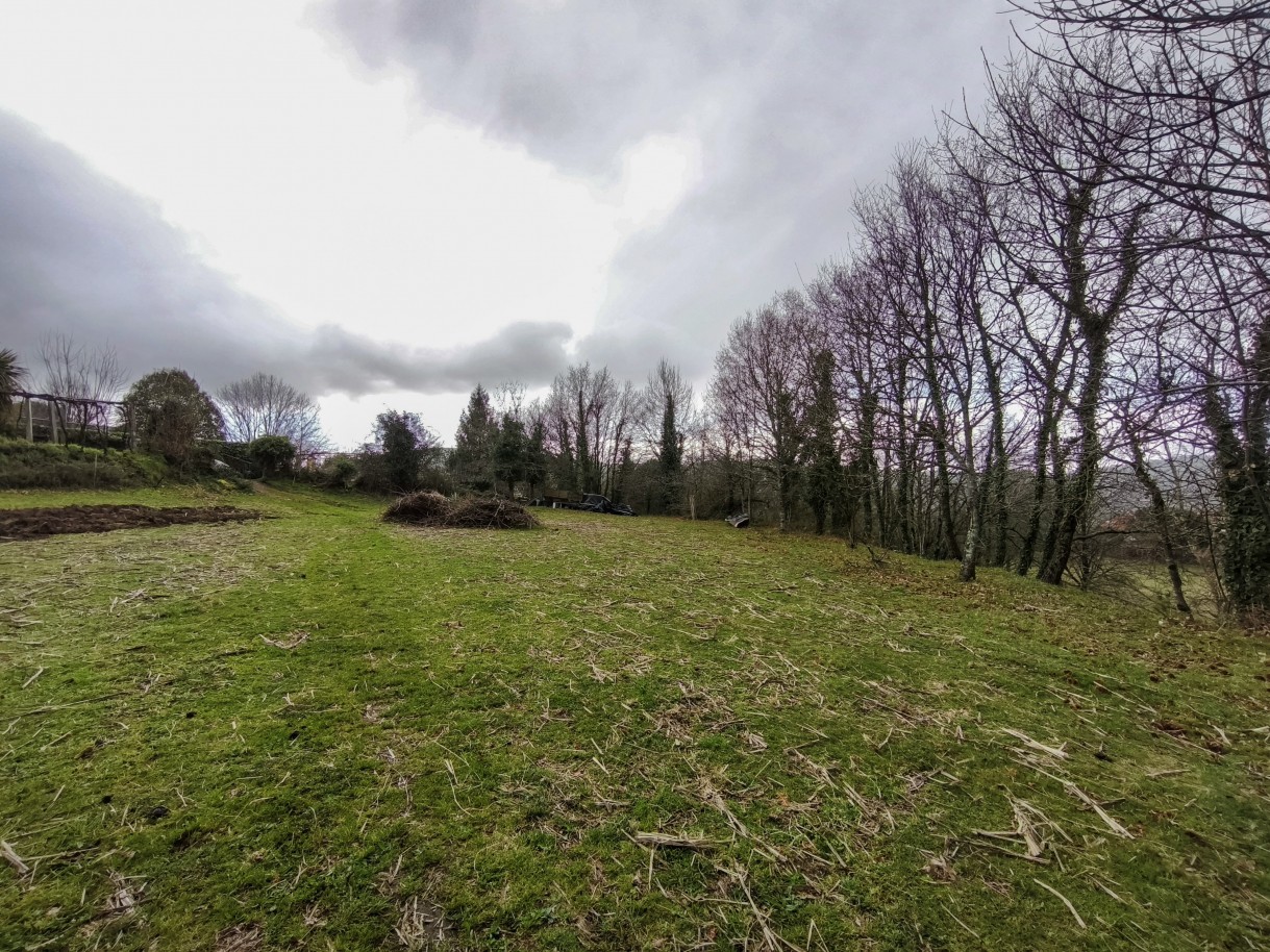 4-img-20260309-163115jpg