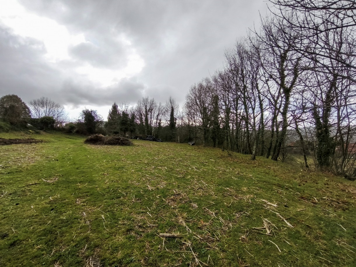 5-img-20260309-163114jpg