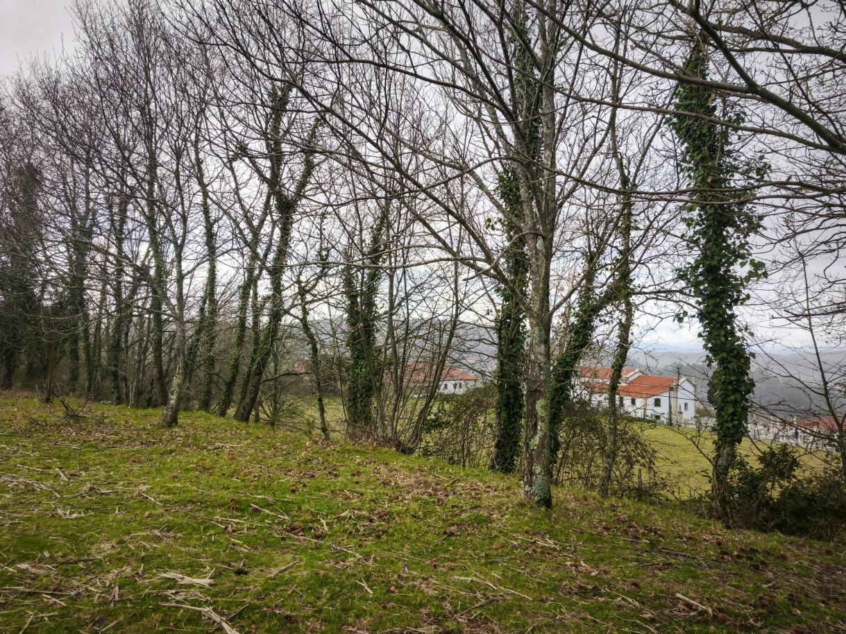 7-img-20260309-163108jpg