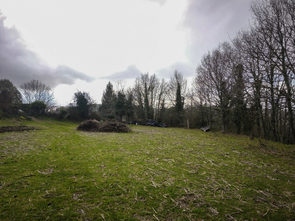 9-img-20260309-163103jpg