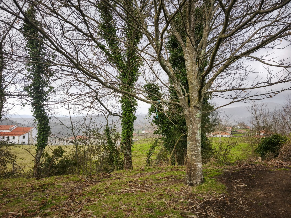 8-img-20260309-163106jpg