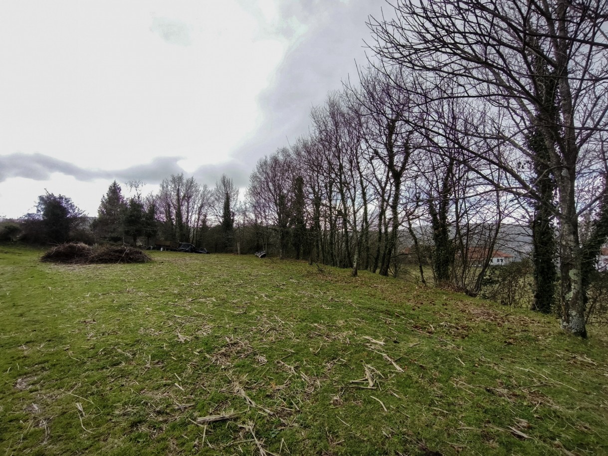 11-img-20260309-163052jpg