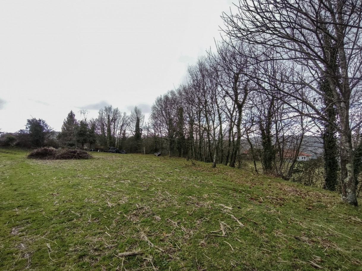 13-img-20260309-163047jpg