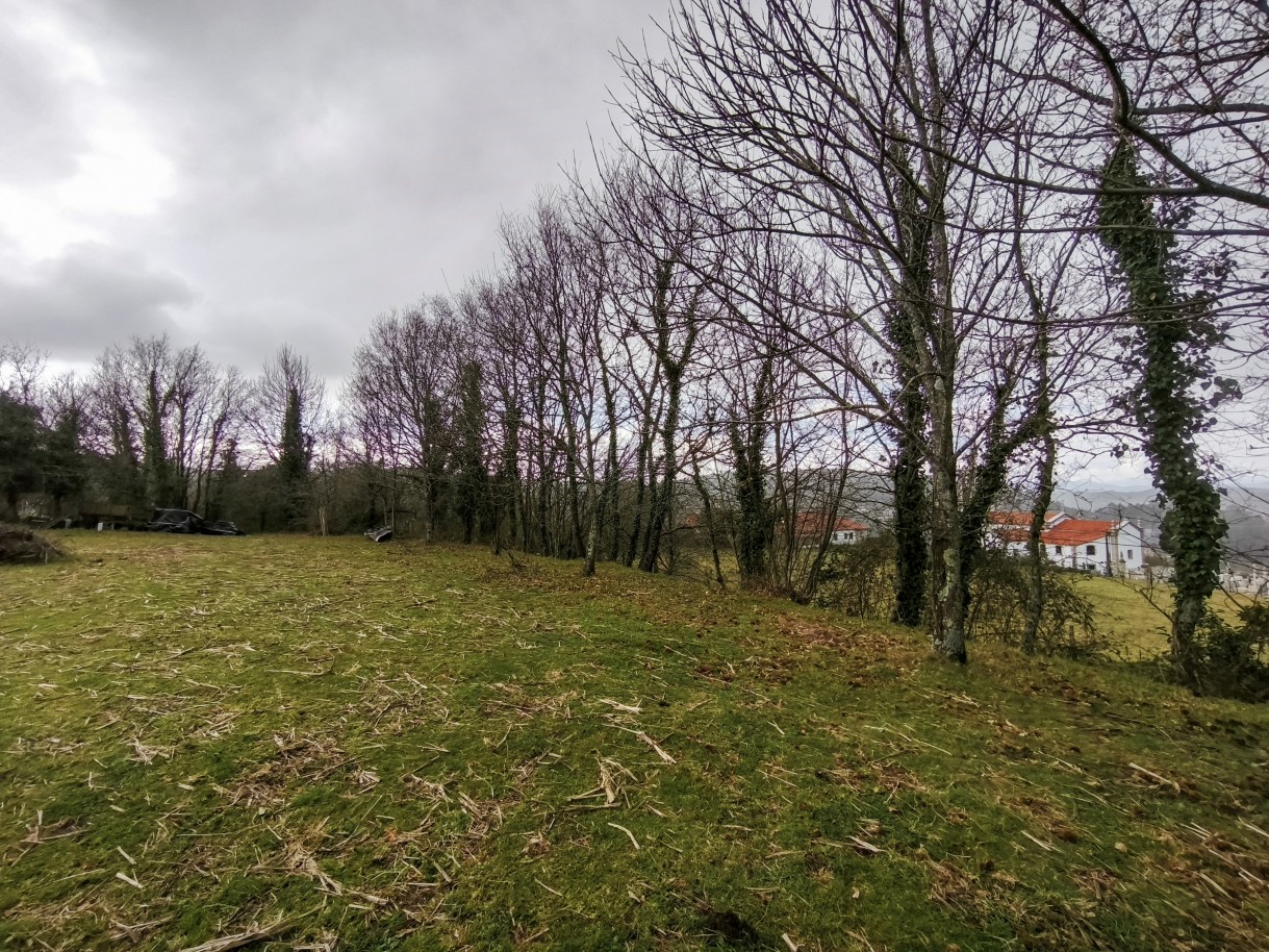 12-img-20260309-163049jpg