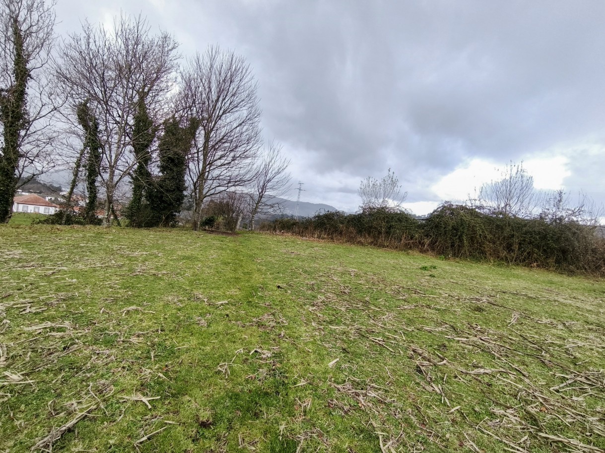 16-img-20260309-163004jpg