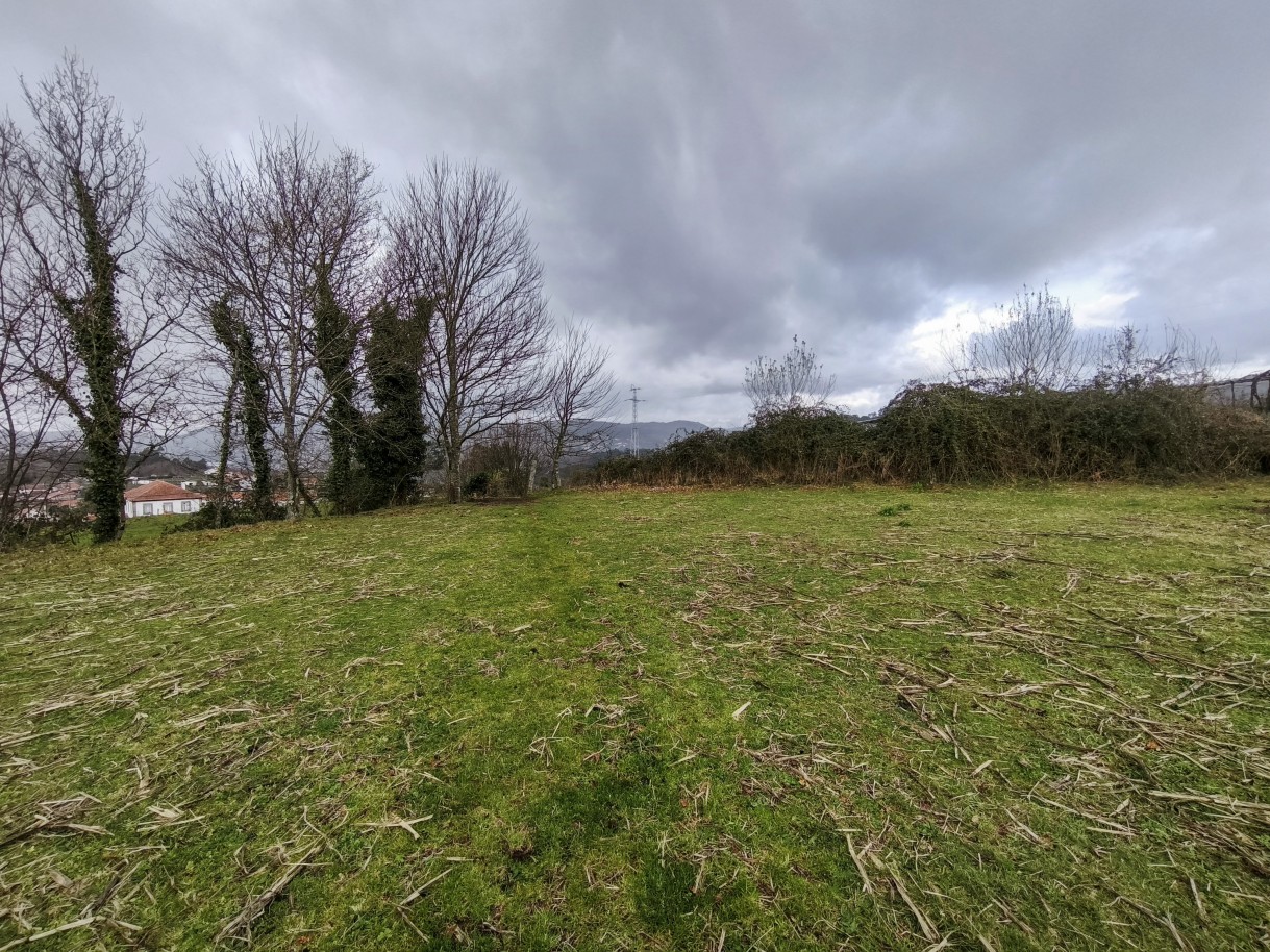 17-img-20260309-163000jpg