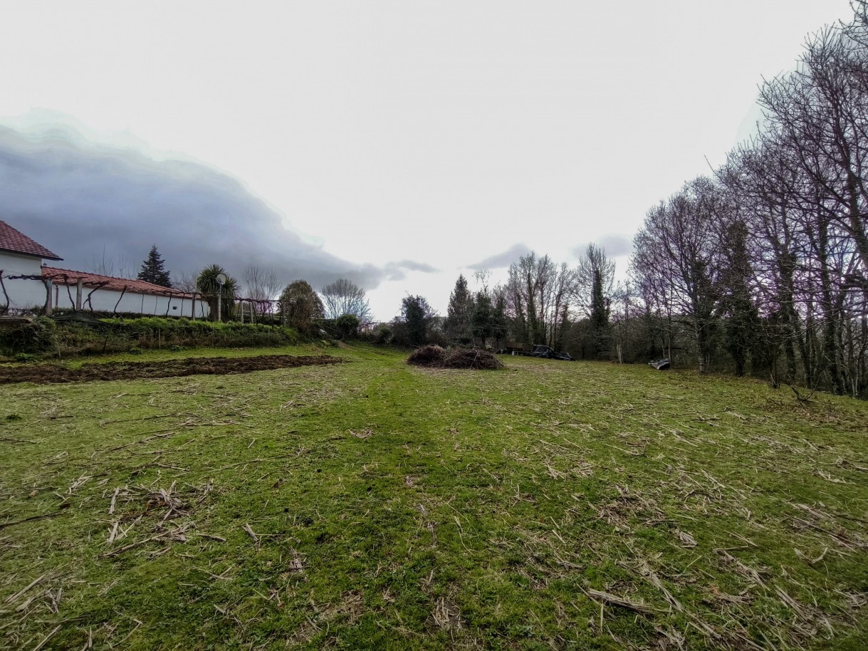 15-img-20260309-163044jpg