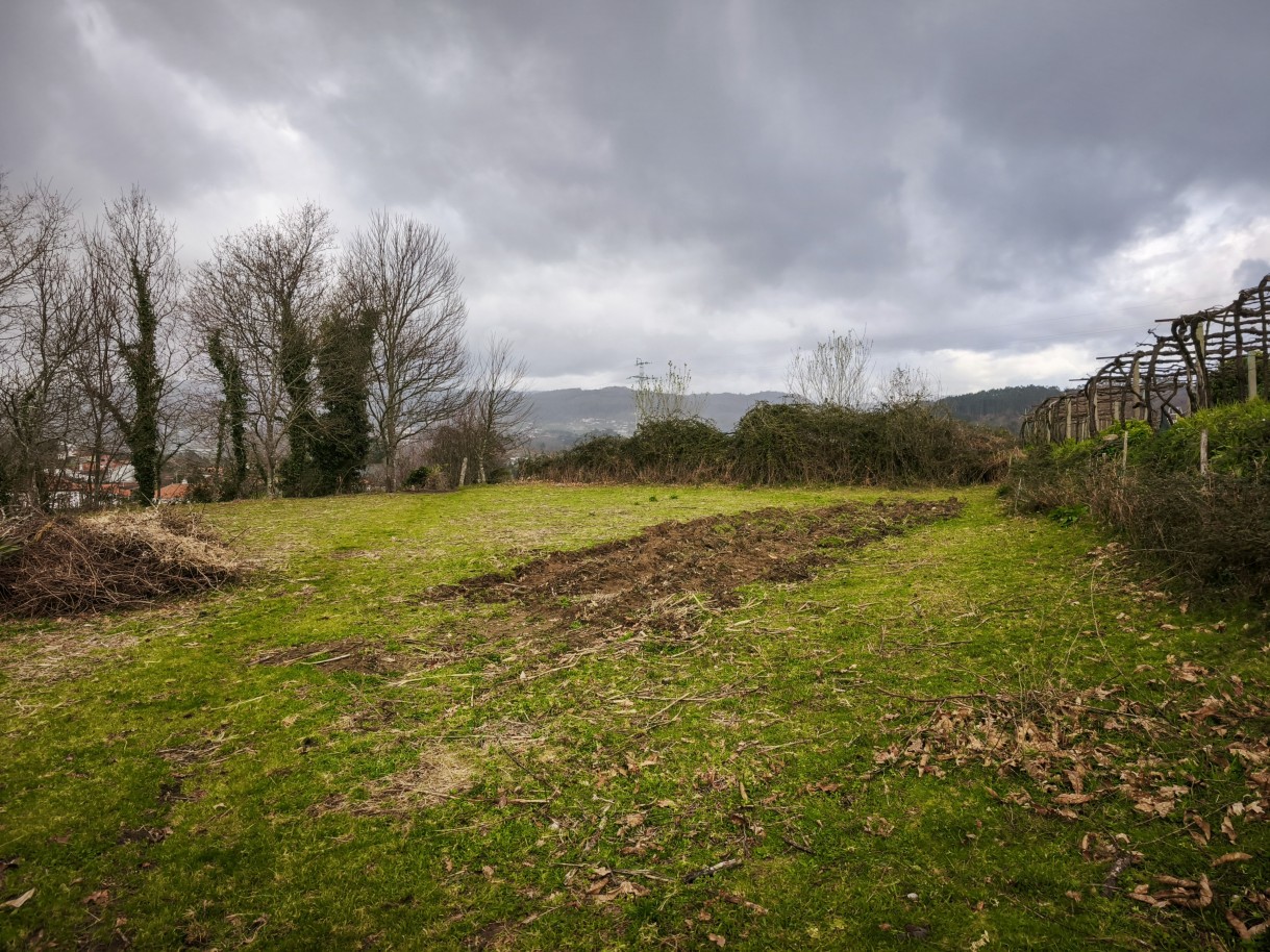 18-img-20260309-162934jpg