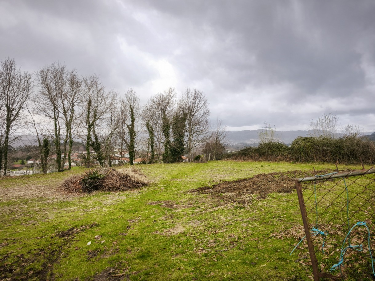 19-img-20260309-162928jpg