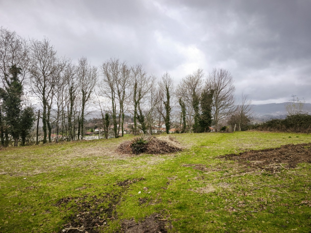 20-img-20260309-162926jpg