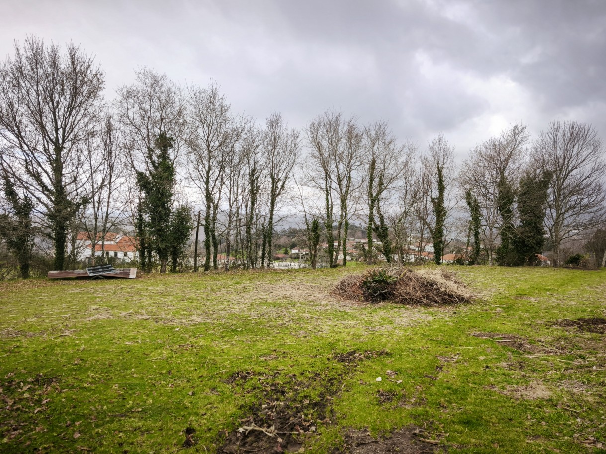 21-img-20260309-162924jpg