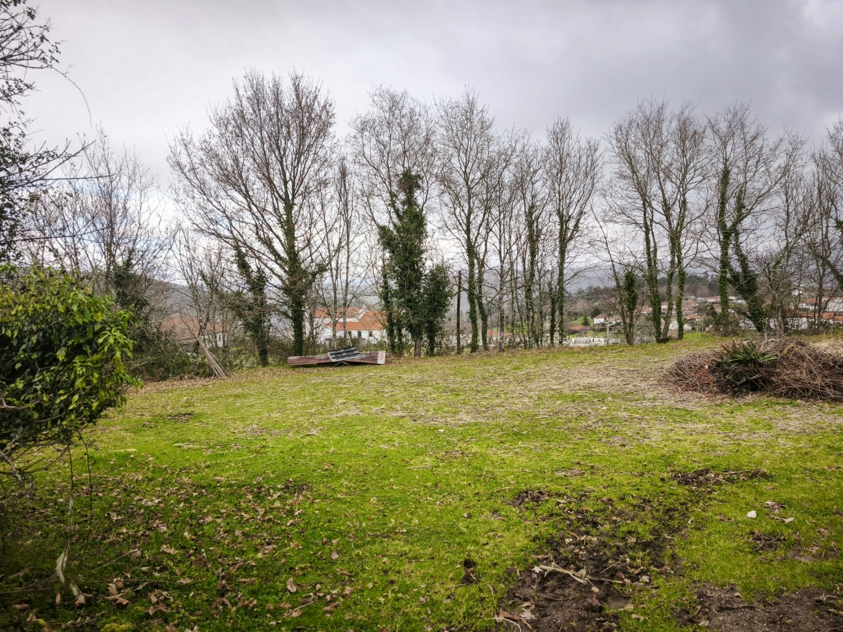 22-img-20260309-162922jpg