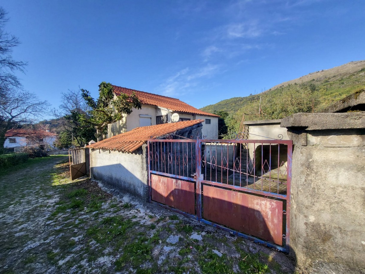 3-whatsapp-image-2026-03-17-at-14jpg