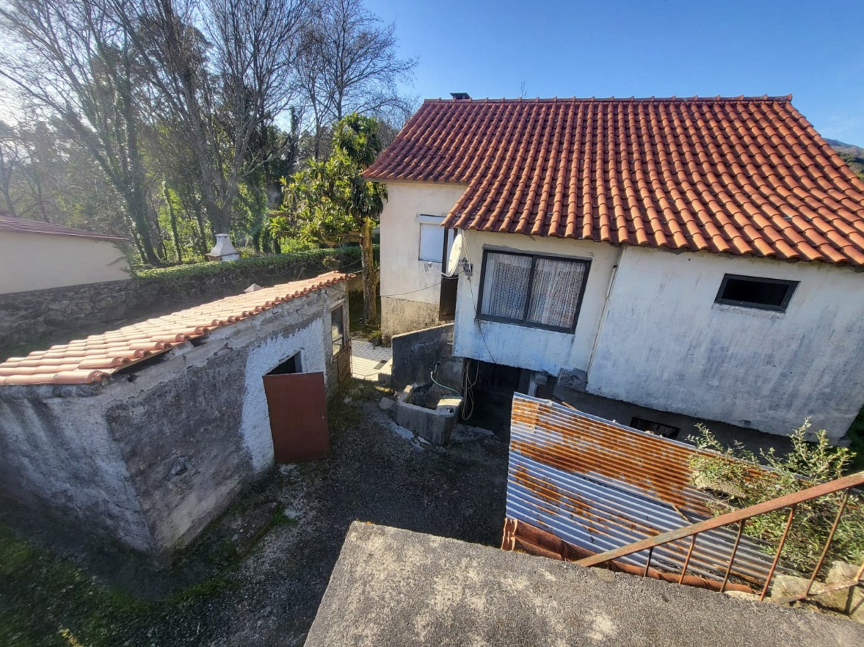 4-whatsapp-image-2026-03-17-at-14jpg