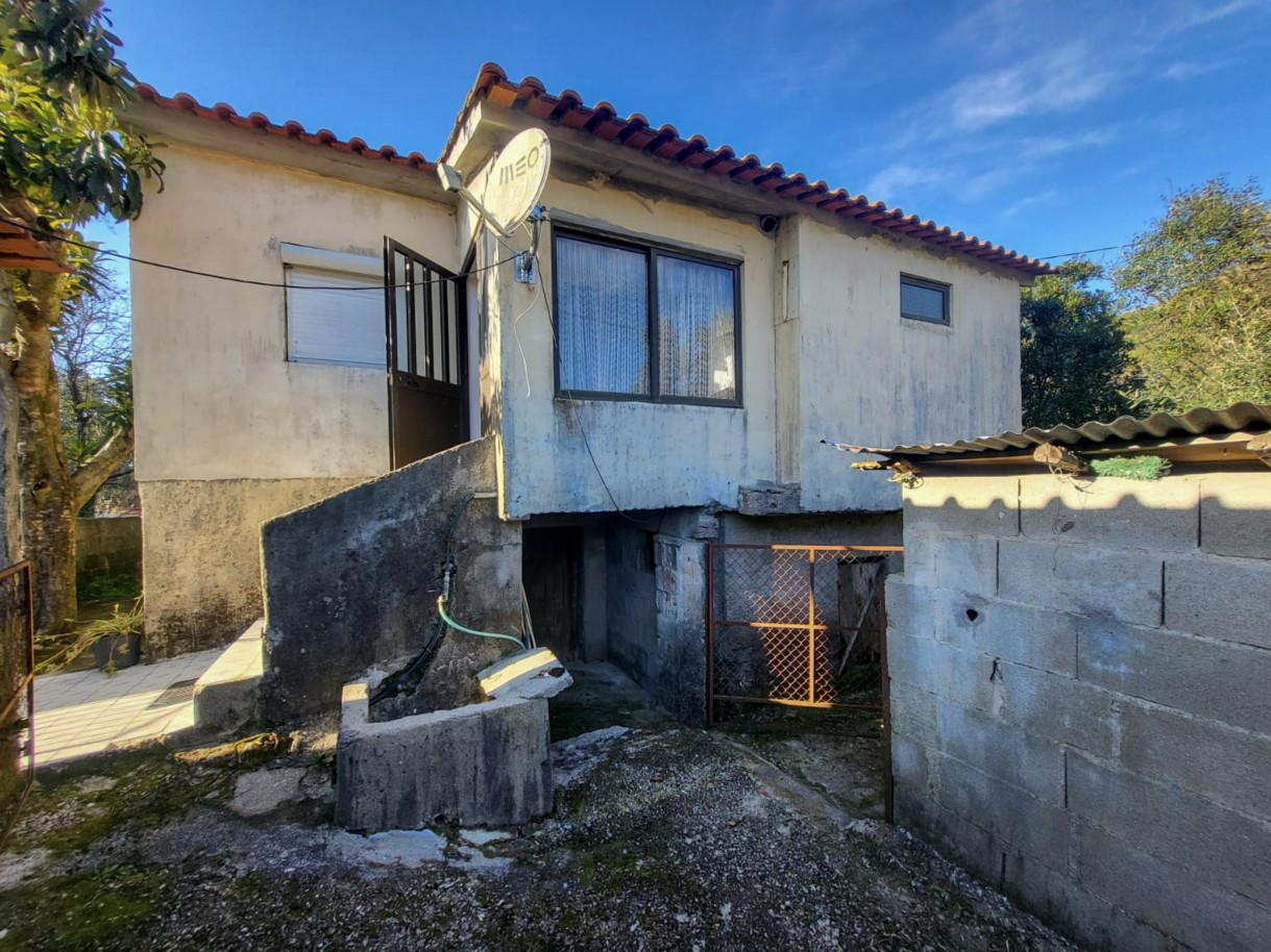 6-whatsapp-image-2026-03-17-at-14jpg