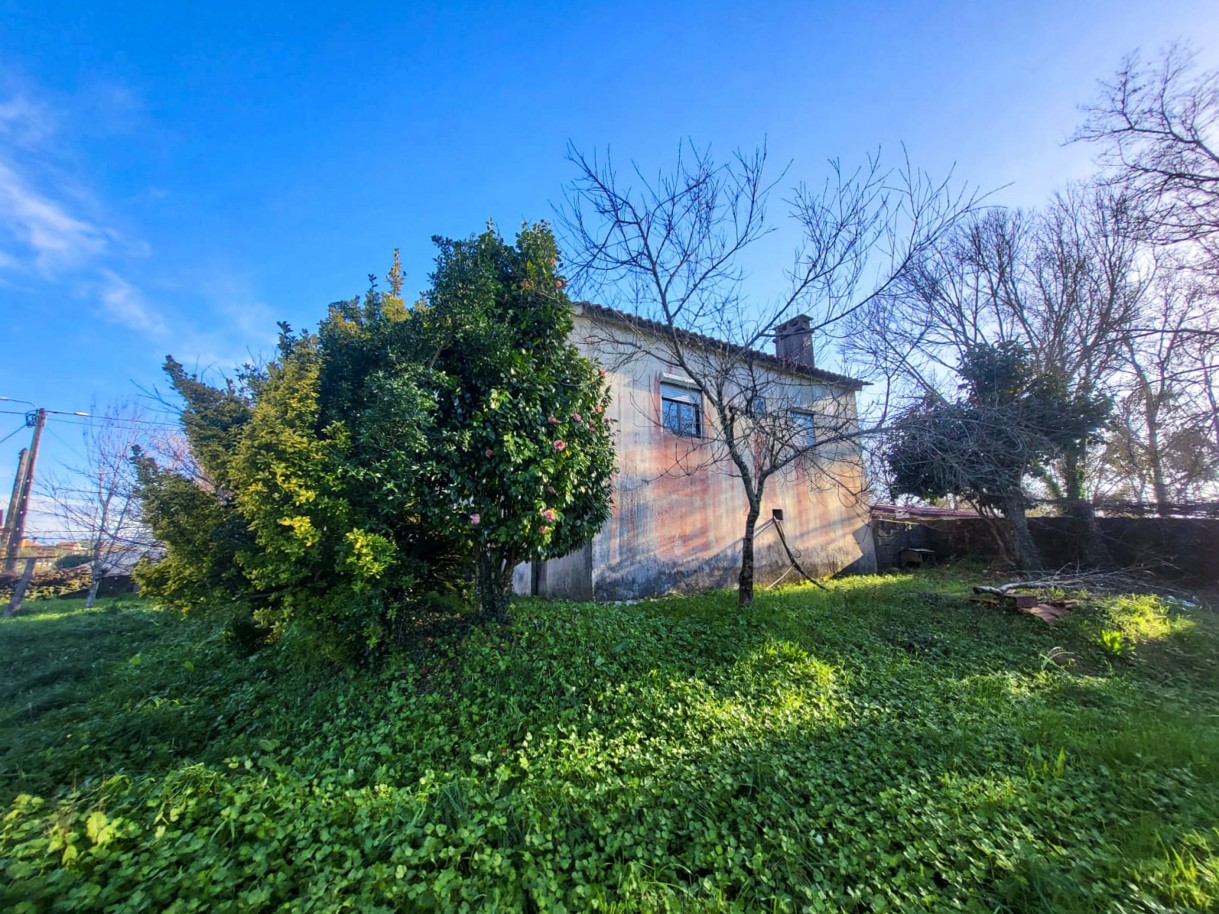 9-whatsapp-image-2026-03-17-at-14jpg