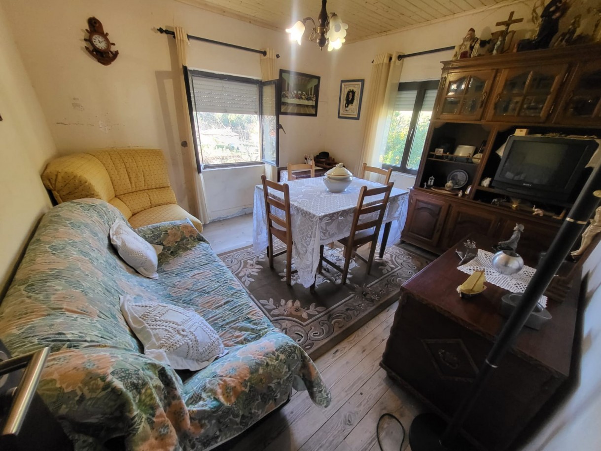 whatsapp-image-2026-03-17-at-143151jpeg