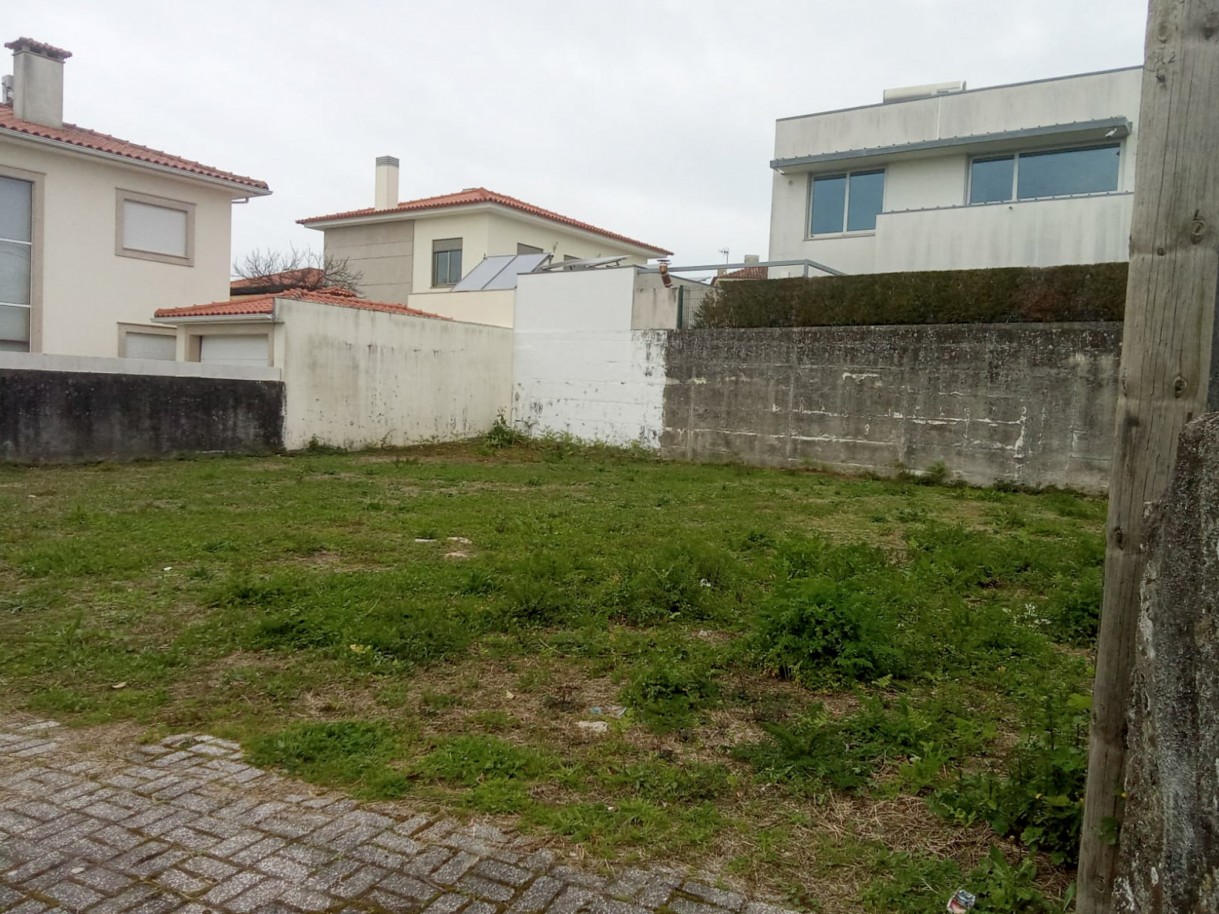 3-whatsapp-image-2026-03-17-at-14jpg